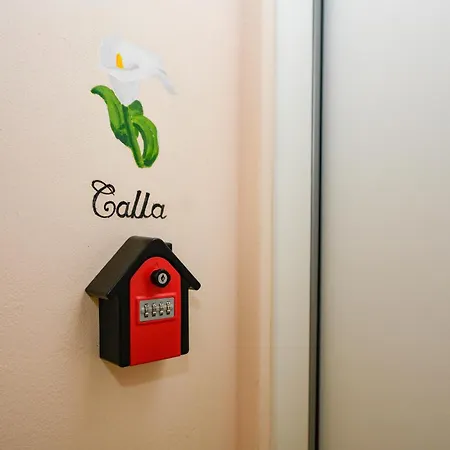 Aparthotel Flowers Desenzano del Garda