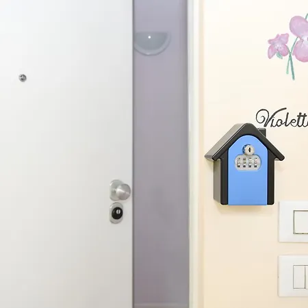 Flowers 데센자노델가르다